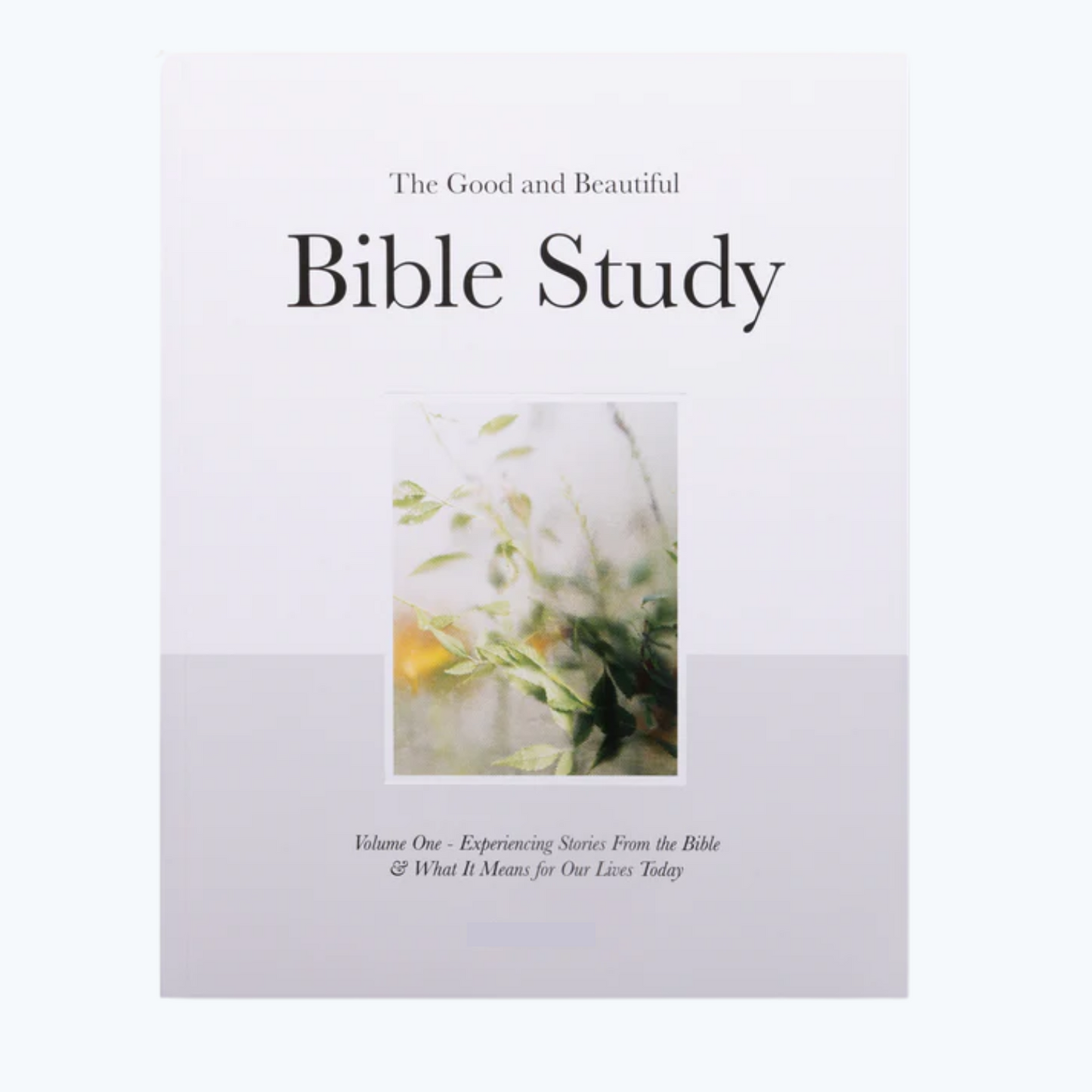 A Good and Beautiful Faith – Bible Study Vol 1