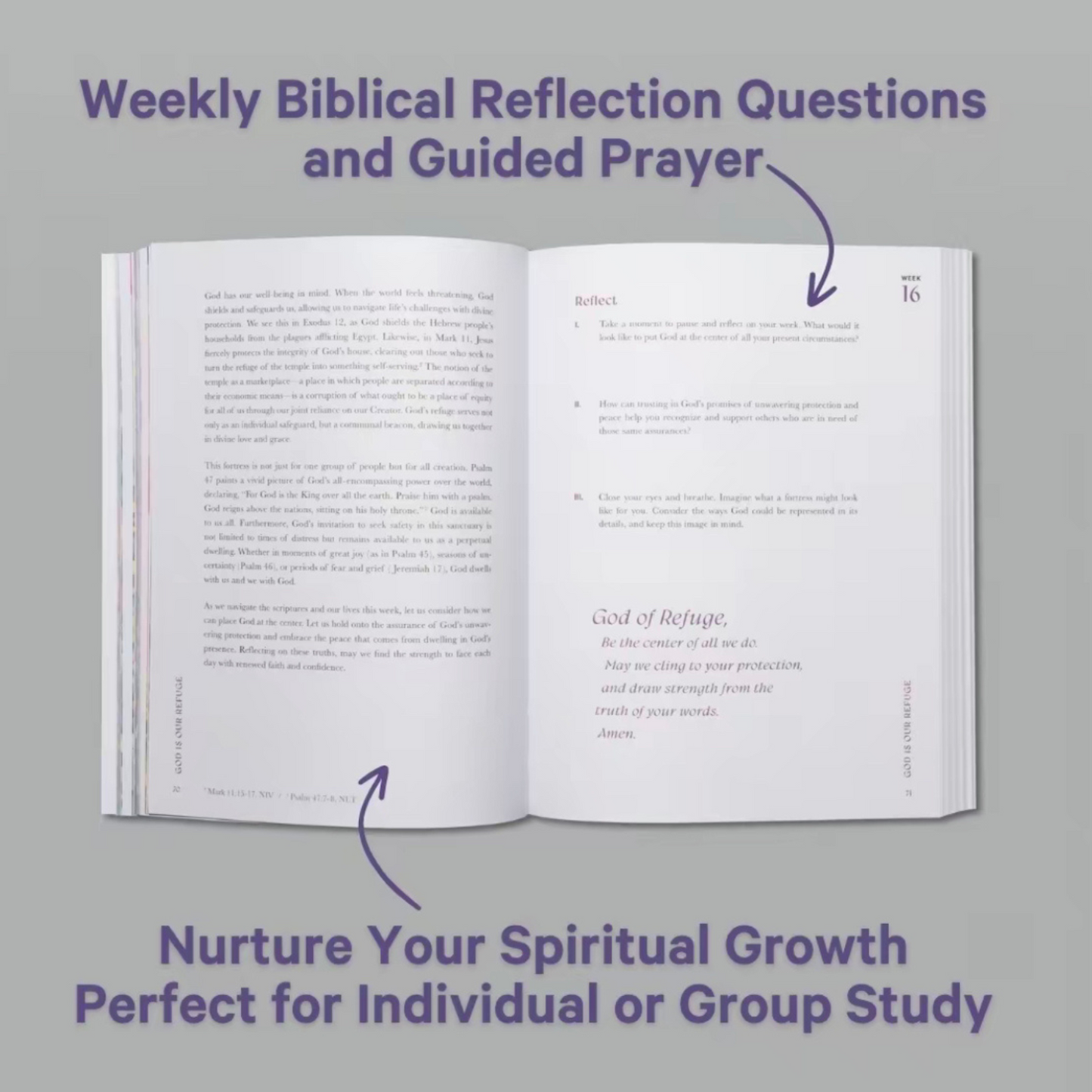 Year in the Bible: The 52-Week Bible Study for Women