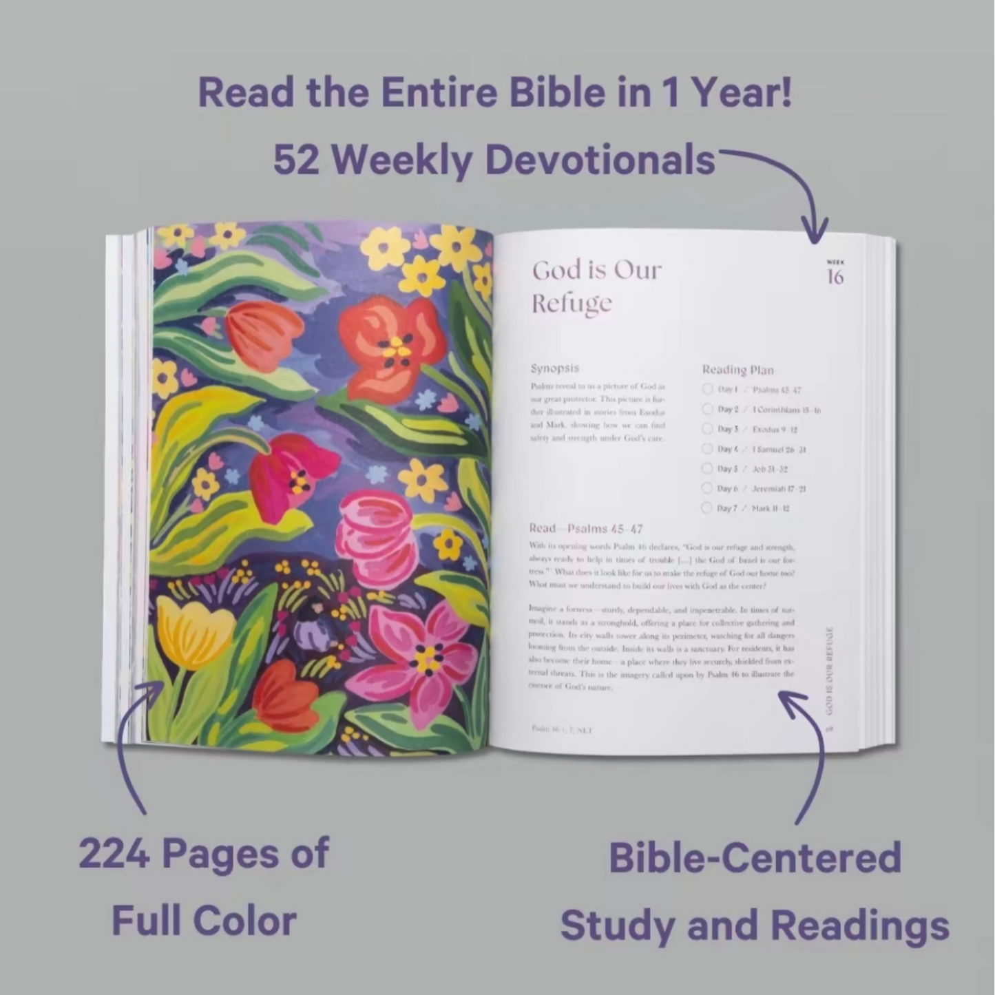 Year in the Bible: The 52-Week Bible Study for Women